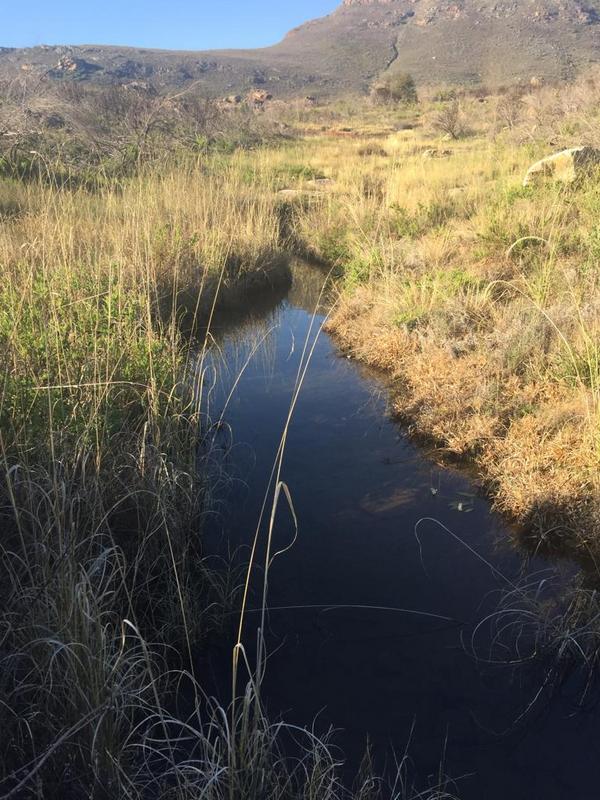 0 Bedroom Property for Sale in Piketberg Rural Western Cape